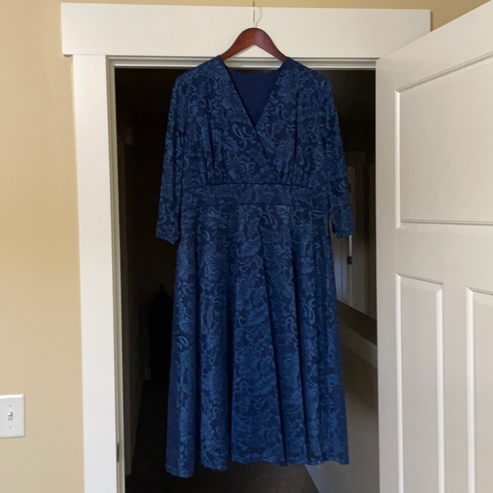 Women's Lace Plus Size Skater Dress